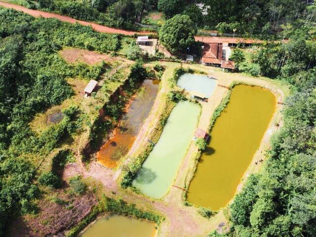 #2 - Sítio para Venda em Santa Isabel do Pará - PA