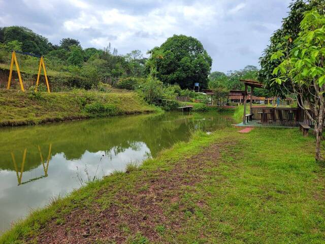 #2 - Sítio para Venda em Santa Isabel do Pará - PA