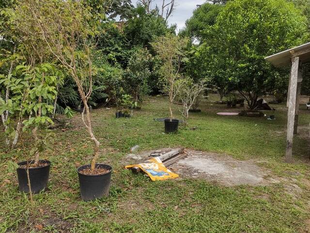 #168 - Terreno para Venda em Santa Bárbara do Pará - PA